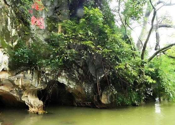 Khai Viễn 