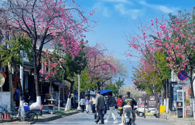 Đại lý