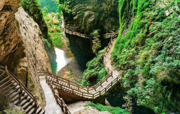 Đô Giang Yển 