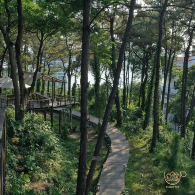 Hạ Long